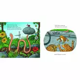 Superworm Paperback